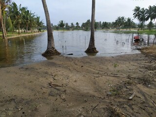 flood in agricultural  land