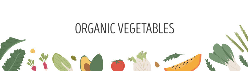 Landscape banner with different colorful vegetables for farmers market menu design. Header with healthy food. Frame or border with various organic local products template. Vector flat illustration.