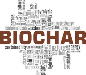 Biochar word cloud conceptual design isolated on white background.