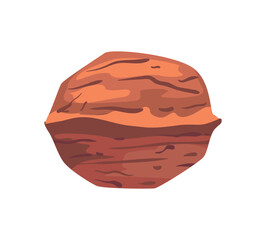 flat hazelnut seed illustration