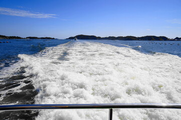 Cruise