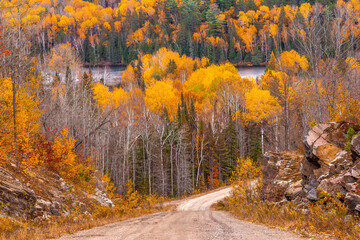 Beautiful autumn landscape , road through the forest colorful  trees