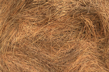 background texture straw yellow nature ornament