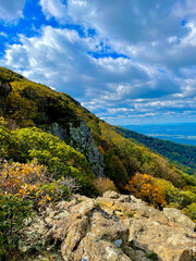 Autumn Metamorphosis in Shenandoah