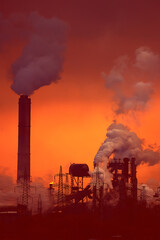 global warming plant landscape sunset orange ecology problem