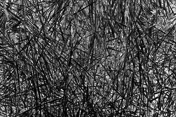 straw background abstract texture grass dry