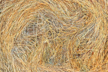 straw background abstract texture grass dry