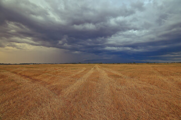 Fototapeta premium cloudscape field hay rolls sky clouds autumn, gloomy weather agriculture