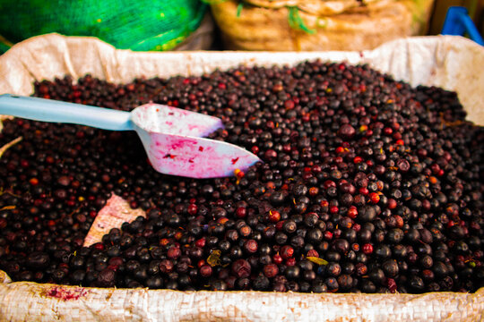 Agraz (Vaccinium meridionale)
