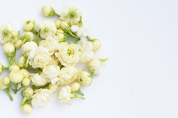 Jasmine flower on white background.