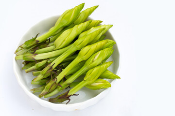 Moonflower or Ipomoea alba L for cooking