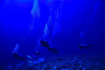 Naklejka na ściany i meble divers underwater at depth in the blue sea background