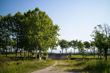 한국의 자연 풍경
