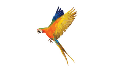 Colorful macaw parrot flying isolated on white. Vector illustration