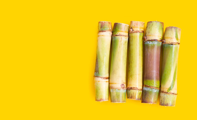 Sugar cane on yellow background.