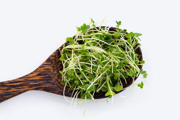 Organic kale sprouts on white background.