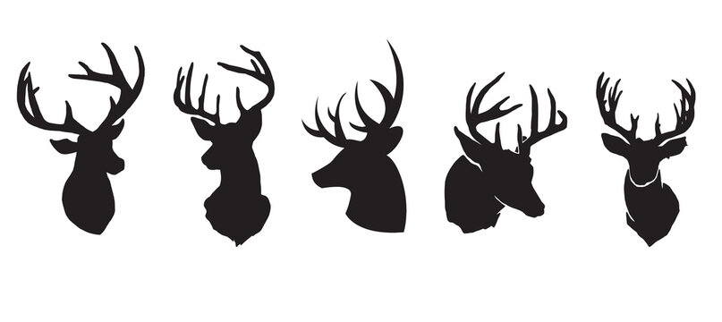 mule deer head silhouette