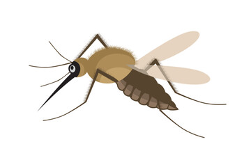 Mosquito vector. Mosquitoes bite humans. Flying insect illustration. Malaria plague insects