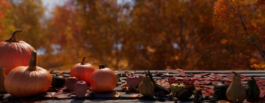 Thanksgiving Banner with Gourd and Fall Leaves. Seasonal Natural Setting with copy-space.