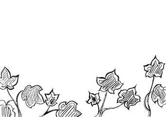 Decorative plants of black color on a white background