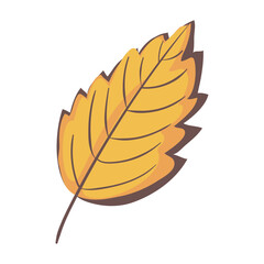 yellow autum leaf