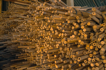 Piles of young and small pieces of bamboo that will be processed into bamboo handicraft products in the cottage industry becomes an attractive background	