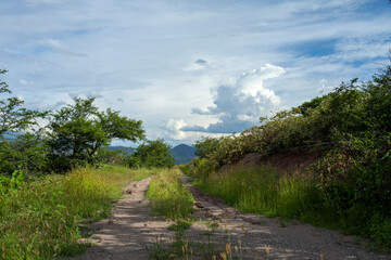 Fototapeta na wymiar landscape of dirt road with andes mountains in loja ecuador during golden hour