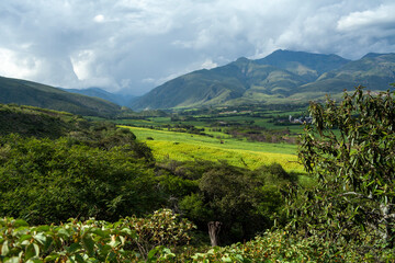 Fototapeta na wymiar landscape of sugar cane plantations green mountains in loja, ecuador