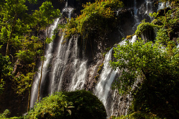 Fototapeta na wymiar The beauty of the waterfall Goa Tetes. One of the waterfalls in the Tumpak Sewu waterfall complex, the area with many streams of water falling down. A famous tourist destination in Lumajang, Indonesia