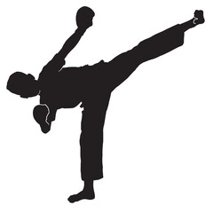 young kata karate boy silhouettes Vector Sport