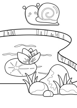 Cute Snail Insects Animal Coloring Pages A4 for Kids and Adult