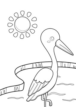 Stork Bird Pond Animal Coloring Pages A4 for Kids and Adult