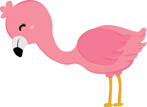 Cute Pink Flamingo Bird Animal Illustration Vector Clipart