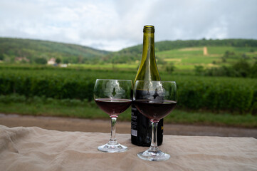 Tasting of red dry pinot noir wine in glass on premier and grand cru vineyards in Burgundy wine making region near Vosne-Romanée village, France