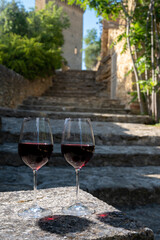 Glass of red dry wine and ruins of medieval castle of Châteauneuf-du-Pape ancient wine making village in France