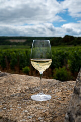 Tasting of white dry wine made from Chardonnay grapes on grand cru classe vineyards near Puligny-Montrachet village, Burgundy, France
