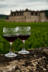 Tasting of red dry pinot noir wine in glass on premier and grand cru vineyards in Burgundy wine making region with chateau on background, France