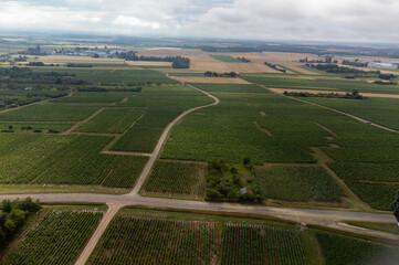 Panoramic view on grand cru vineyards in Côte-d'Or Burgundy winemaking region, Bourgogne-Franche-Comté, France