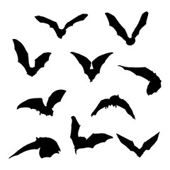 vampire bat silhouette hand drawing vector illustration isolated on background