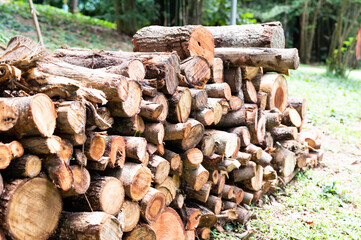 stack of firewood