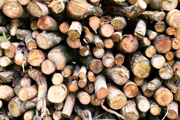 stack of firewood