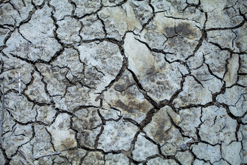 close up of cracked earth ground soil dried cracks fractals