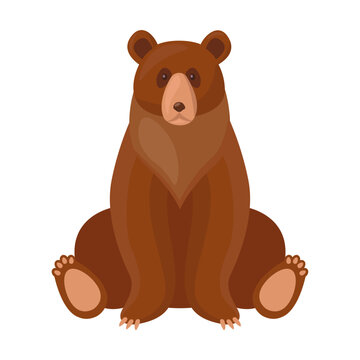 Brown bear. Cute cartoon grizzly sitting isolated on white. Vector illustrations for wildlife, predators, mammal animals concept