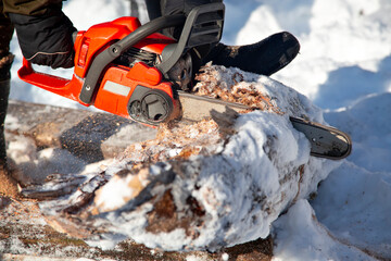 Chopping a tree with an orange chainsaw in winter weather