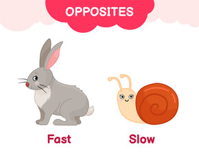 Vector learning material for kids opposites fast slow. Cartoon illustrations of fast hare and slow snail.
 - obrazy, fototapety, plakaty