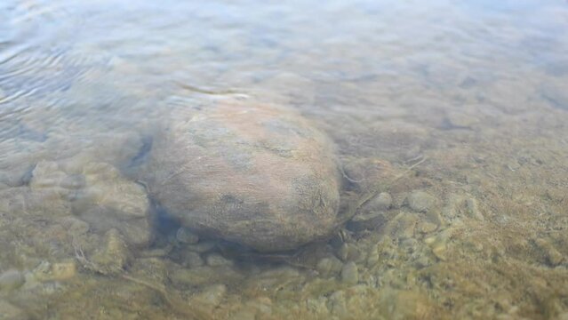 Under the crystal-clear river in Balochistan, Pakistan, is a large round stone or boulder with countless pebbles.