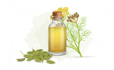 Fennel seeds oil with green herbal fennel seeds and plant -vector illustration