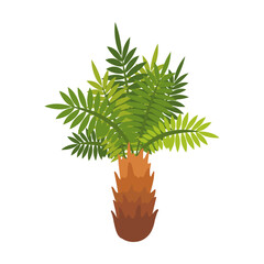 Cartoon palm tree flat vector illustration. Green tropical trees with coconut isolated on white background. Jungle, tropics
