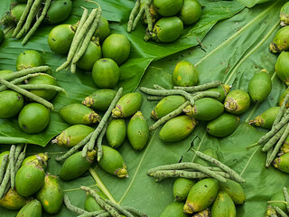Areca nut, called buai and betel nut on the tropical island of Bougainville, Papua New Guinea, displayed on palm leaves at a local fruit and vegetable market - obrazy, fototapety, plakaty