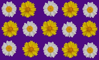 collection of flowers .Chamomile herbal design great for fashion fabric